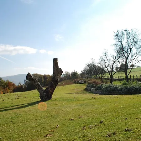 La Ginestra Sellano