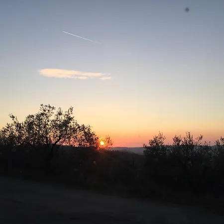 La Ginestra *