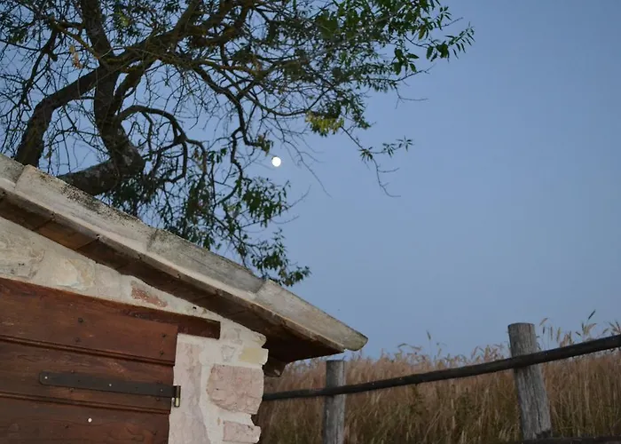 Casa de Campo La Ginestra