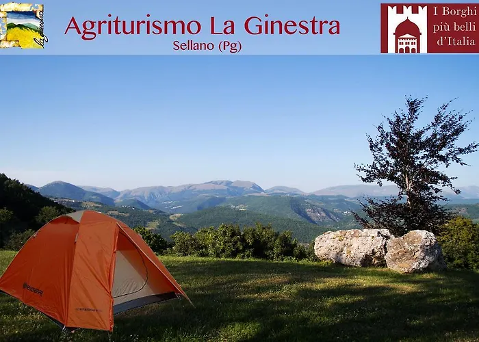 La Ginestra